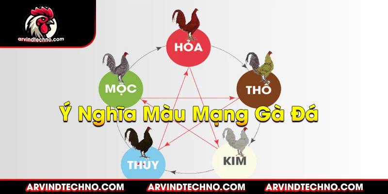 Ý Nghĩa Màu Mạng Gà Đá Trong Văn Hóa Dân Gian