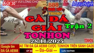 Gà Đá Giải TONHON Trận 2: A. Út vs A. Lưu Huỳnh