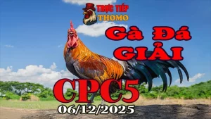 Gà Đá Giải CPC5 – Phát Lại Đá Gà Trực Tiếp Hôm Nay 06/12/2025