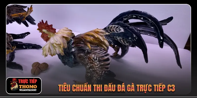 Tiêu chuẩn thi đấu đá gà trực tiếp c3