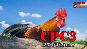 Full tổng hợp đá gà Thomo CPC3 ngày 27042026